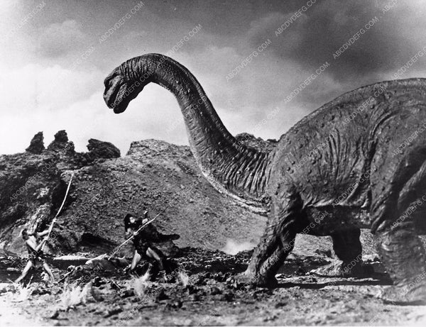 0805-33_grande.jpg?v=1519106387