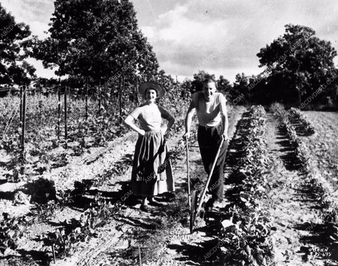 Alfred Lunt Lynn Fontanne candid backyard plowing veggie garden 2445-22