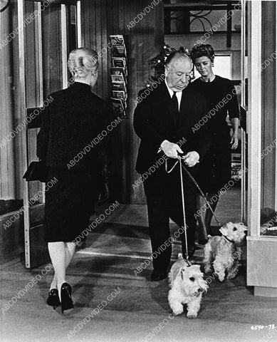 Alfred Hitchcock walking the dogs cameo appearance film The Birds 3051-09