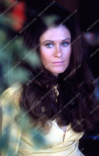 beautiful Susan Clark portrait 35m-2130 – ABCDVDVIDEO