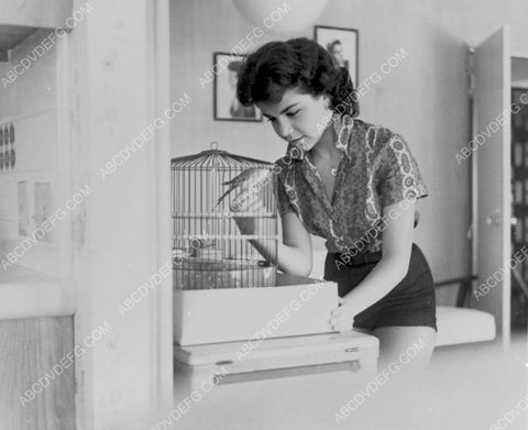 adorable Annette Funicello tending to her parakeets 8b20-13162