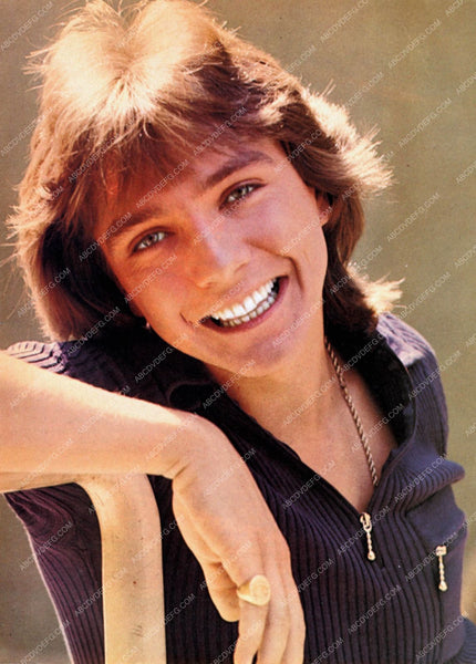 Teen Idol David Cassidy Portrait 8b20 16841 Abcdvdvideo