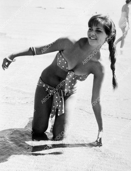 8b20-17166 shapely Claudia Cardinale in her new swimsuit at the beach  8b20-17166