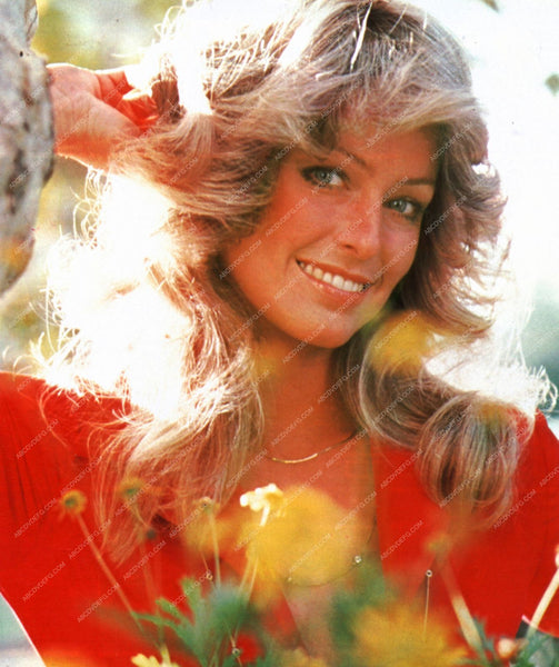 beautiful Farrah Fawcett outdoors portrait 8b209562 ABCDVDVIDEO
