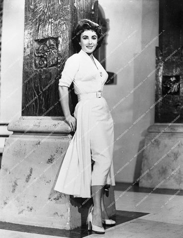Elizabeth Taylor fashion portrait - 0445-013