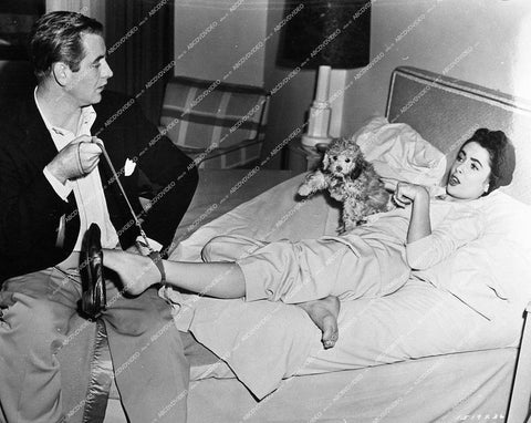 Elizabeth Taylor, Don Taylor and the dog - 1951 film Father's Little Dividend - 0458-012