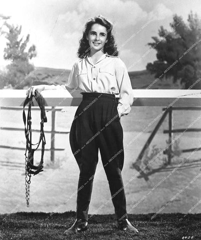 Elizabeth Taylor portrait - 1944 film National Velvet - 0458-015