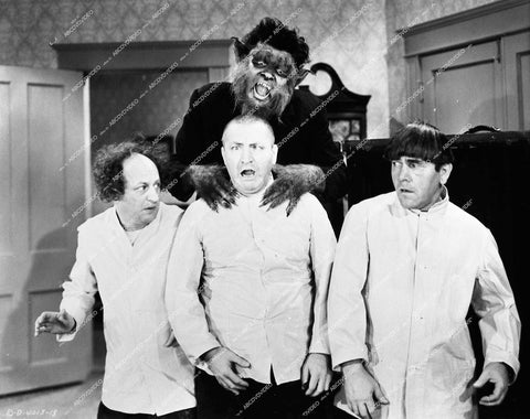 3 Stooges Moe, Larry, Curly, Duke York as the werewolf man - 1944 short subject film Idle Roomers - 0461-005