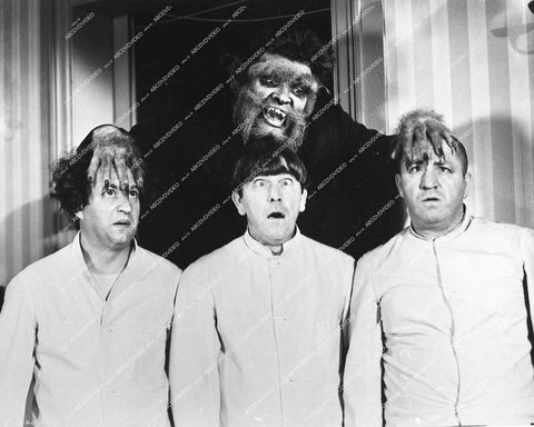 3 Stooges Moe, Larry, Curly, Duke York as the werewolf man - 1944 short subject film Idle Roomers - 0461-006