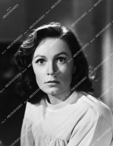 Geraldine Fitzgerald portrait - 11005-024