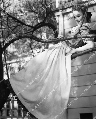 Anna Lee sitting in a tree - 11007-003