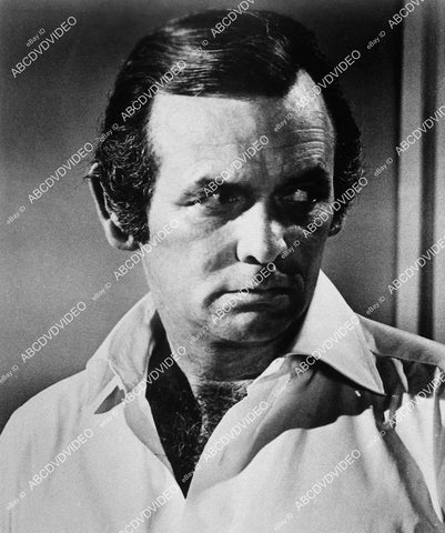 David Janssen portrait - 11014-017