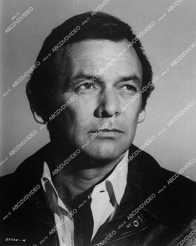David Janssen portrait - 11014-018