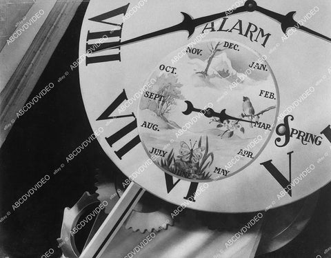 animated characters MGM cartoon Barney Bear characters - 11017-026