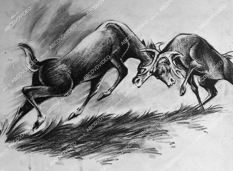 animated characters film Bambi - 11017-033