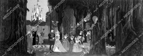 animated characters cartoon film Sleeping Beauty - 11022-002