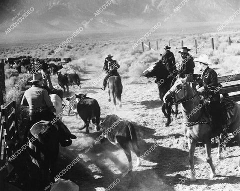 Roy Rogers and the boys on a cattle drive film Utah - 11032-018