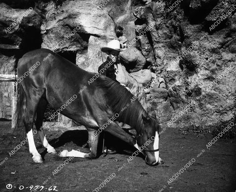child star Don Reynolds w his pony film Beyond the Purple Hills - 11033-032