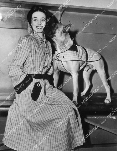 candid Patricia Morrison w her American Staffordshire Terrier dog - 11040-013