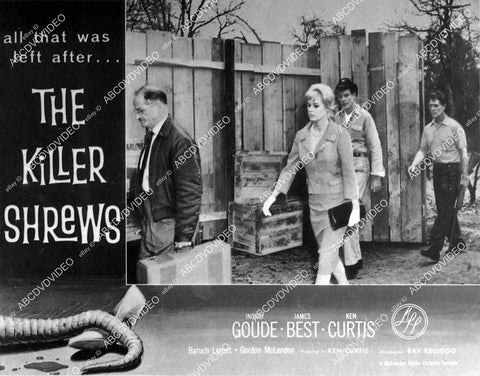 Ingrid Goude, James Best film The Killer Shrews - 11041-019