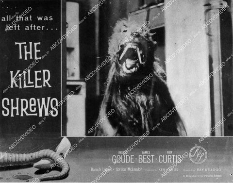 killer dog monster film The Killer Shrews - 11041-025