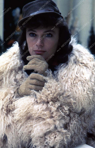 beautiful Jacqueline Bisset portrait 35m-852