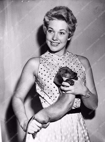 early Kim Novak portrait with dachshound dog 89-10