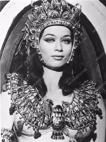 Valerie Leon sexy Egyptian princess film Blood from the Mummy's Tomb 489-23