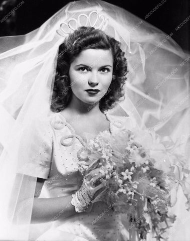 Shirley Temple in bridal gown portrait 563-11