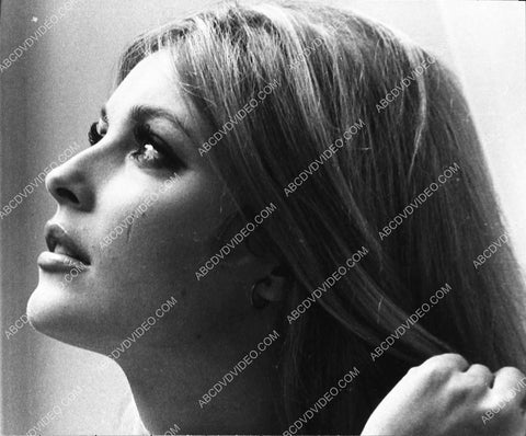 gorgeous Sharon Tate profile 769-01