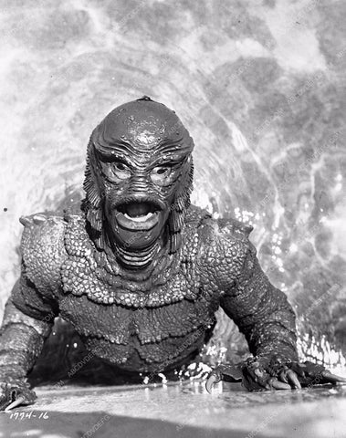 Creature from the Black Lagoon sci-fi film Revenge of the Creature 805 ...