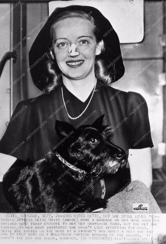 candid photo Bette Davis & bandaged nose after dog bite (not from Tibby) 842-04