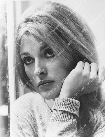 gorgeous Sharon Tate portrait 847-04