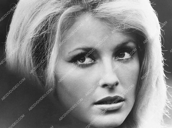 stunning Sharon Tate portrait 847-11 – ABCDVDVIDEO