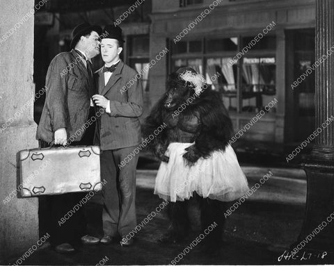 Oliver Hardy Stan Laurel and a gorilla in a tutu unknown short subject 848-22