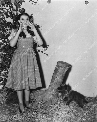 Judy Garland and Toto film The Wizard of Oz 883-06