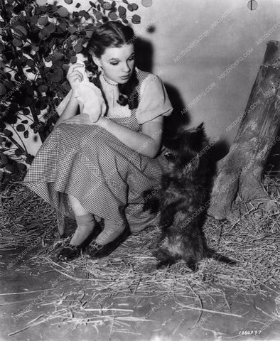 Judy Garland and Toto behind the scenes film The Wizard of Oz 884-01