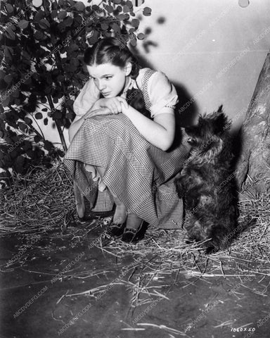 candid Judy Garland and Toto behind the scenes The Wizard of Oz 891-20