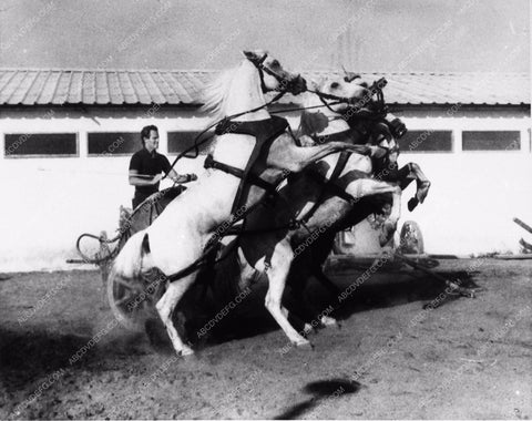 Charlton Heston chariot race sequence behind the scenes Ben-Hur 946-19