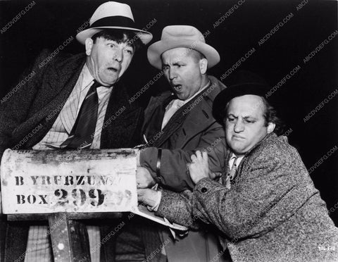 Curley The Three Stooges 954-08