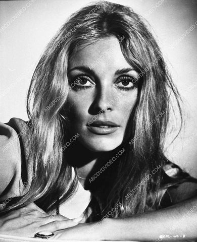 beautiful Sharon Tate portrait 987-11