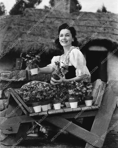 candid Maureen O'Sullivan does some gardening 987-14