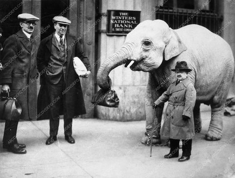 news photo circus midget with elephant 10346-26
