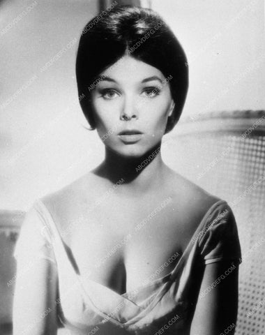 beautiful busty Yvonne Craig portrait 10365-19