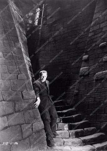 Brosi Karloff Frankenstein on stairs 1043-09