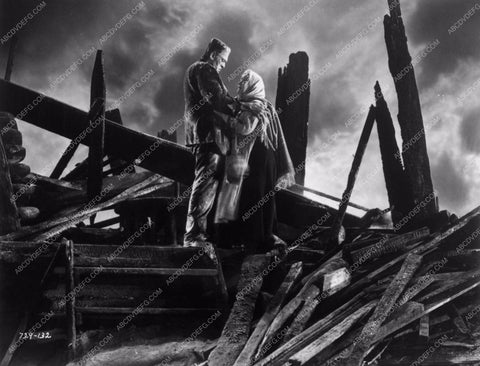 Boris Karloff Bride of Frankenstein 1043-14