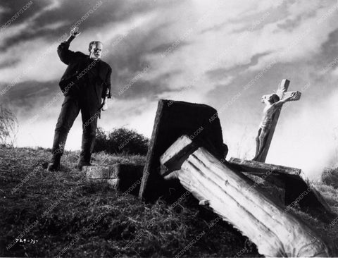 Boris Karloff Bride of Frankenstein 1043-23