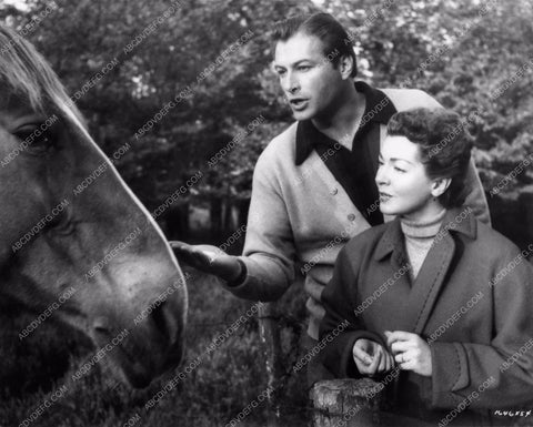 candid Lex Barker Lana Turner feeding a horse 1099-22