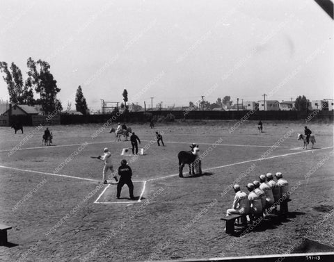 sports baseball Pete Smith Short Subject Donkey Baseball 1100-23