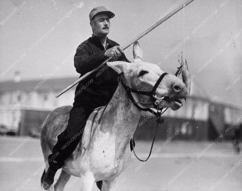 sports baseball Pete Smith Short Subject Donkey Baseball 1100-26